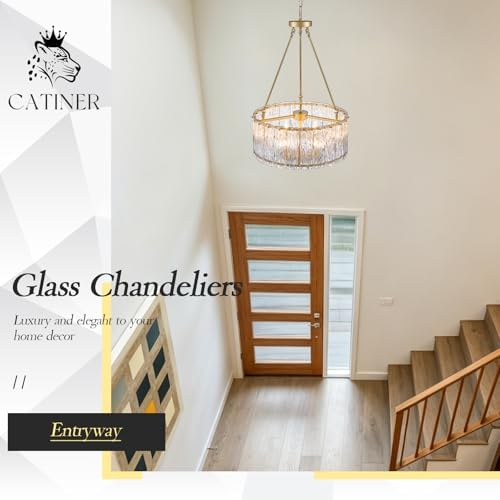CATINER Modern 20" Crystal Glass Chandelier 6-Light Gold Chandeliers