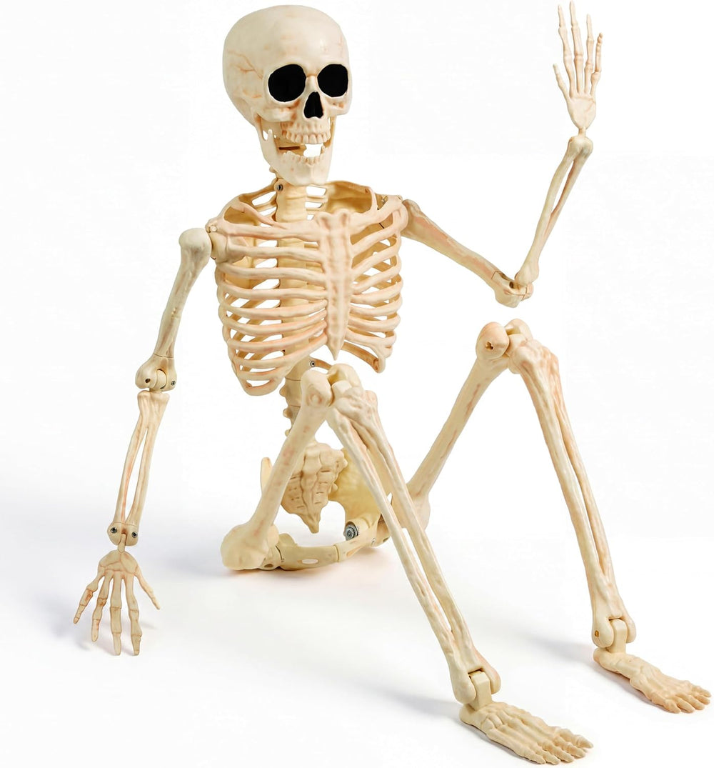 JOYIN 36" Halloween Skeleton Decor, 3FT Full Body Realistic Bones with S...