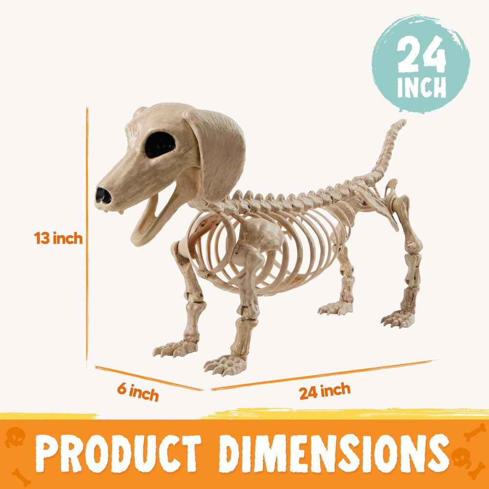 JOYIN Wiener Dog Skeleton 24” Plastic Animal Posable Skeleton Halloween Decor...