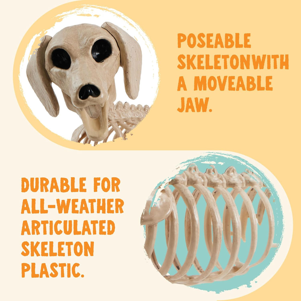 JOYIN Wiener Dog Skeleton 24” Plastic Animal Posable Skeleton Halloween Decor...