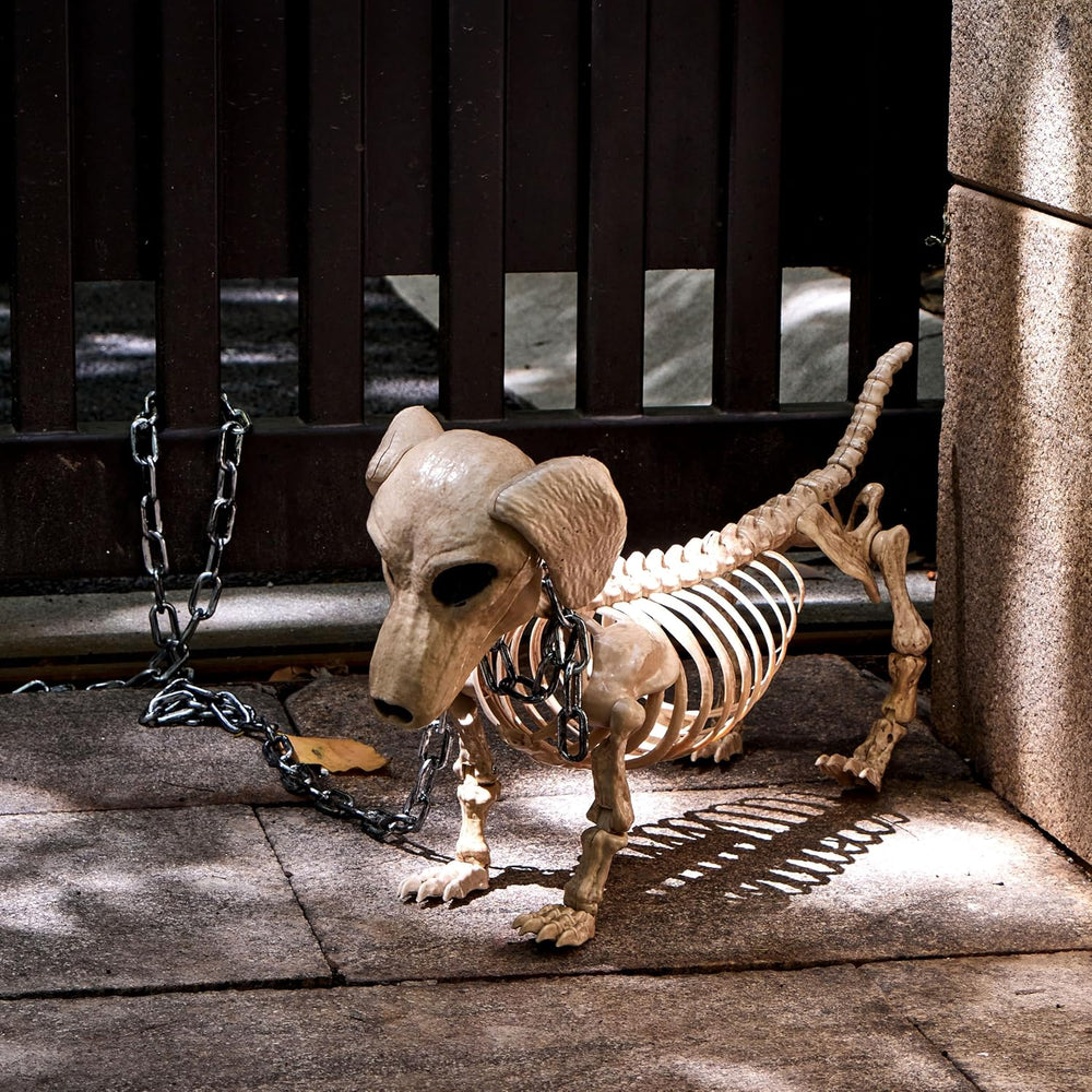 JOYIN Wiener Dog Skeleton 24” Plastic Animal Posable Skeleton Halloween Decor...