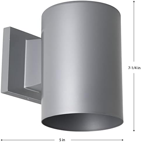Progress Lighting Cylinder Outdoor Wall Light, Metallic Gray