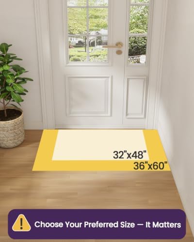 DEXI Front Door Mats for Entryway, 36x60 Non Slip Washable Entry Doormat