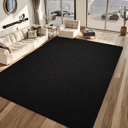 7x10 Black Area Rug Modern Aesthetic Minimalist