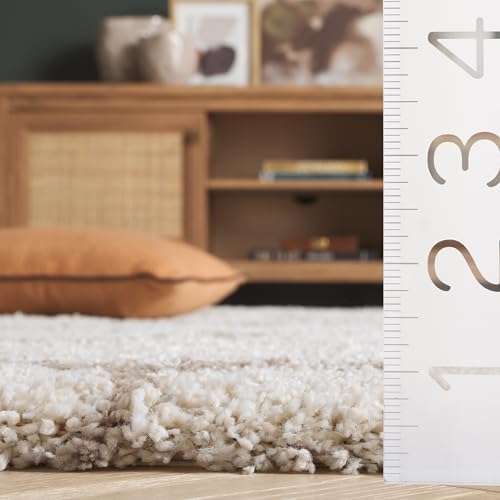 SAFAVIEH Hudson Shag Rug 10x14, Plush Trellis X-Large Ivory & Beige SGH280D
