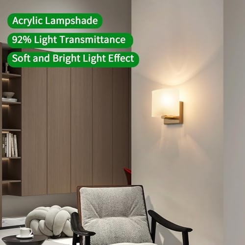 Small Flat Modern Acrylic Indoor Hardwired Gold Wall Sconce Light