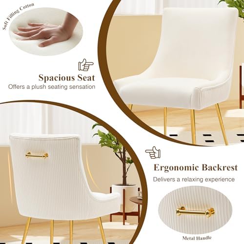 adochr Velvet Dining Chairs Set of 4 with Gold Metal Legs, Beige