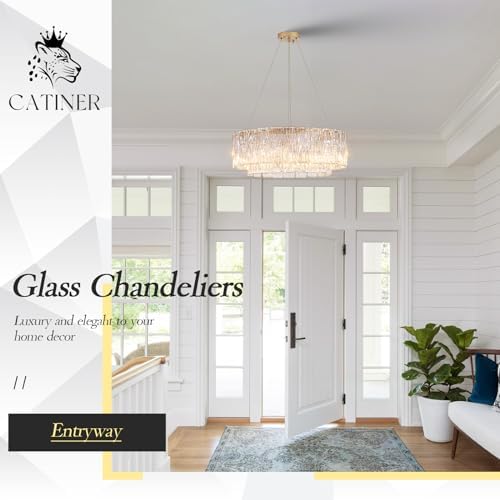 CATINER Modern 24" Crystal Glass Chandelier 10-Light Gold Chandeliers