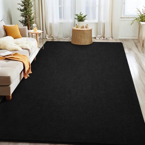 7x10 Black Area Rug Modern Aesthetic Minimalist