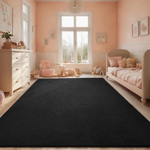 7x10 Black Area Rug Modern Aesthetic Minimalist