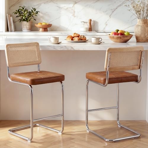 Zesthouse Natural Rattan Counter Stools Set of 2, 26" Modern Boho Barstools