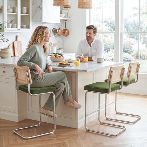 Zesthouse Natural Rattan Counter Stools Set of 2, 26" Modern Boho Barstools