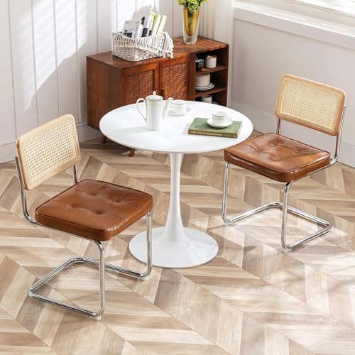 Zesthouse Natural Rattan Dining Chairs Set of 2, Modern Cesca Kitchen Chair
