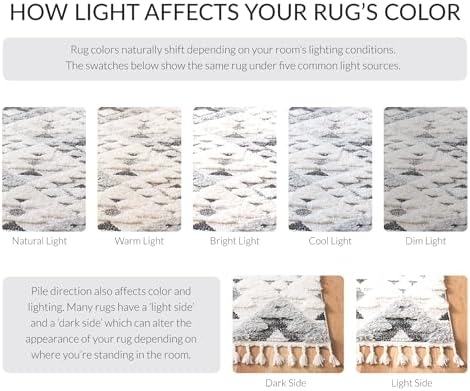 SAFAVIEH Area Rug 9x12 - Moroccan Tassel Shag Collection - Large - Ivory & Grey, Non-Shedding & Easy to Clean, Plush High-Low Texture, Ideal for Living Room, Bedroom, Dining Space (MTS688F)