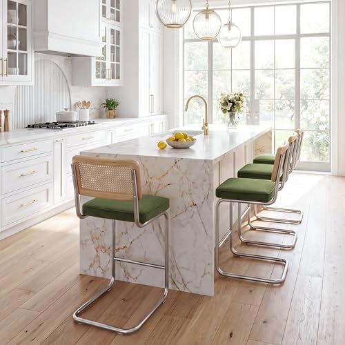 Zesthouse Natural Rattan Counter Stools Set of 2, 26" Modern Boho Barstools