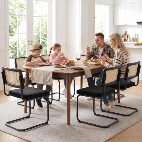 Zesthouse Natural Rattan Dining Chairs Set of 2, Modern Cesca Kitchen Chair