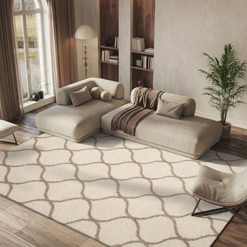 SAFAVIEH Hudson Shag Rug 10x14, Plush Trellis X-Large Ivory & Beige SGH280D