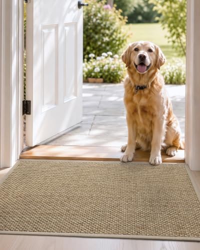 DEXI Ultra Thin Indoor Door Mat 24x36, Entrance Doormats, Beige