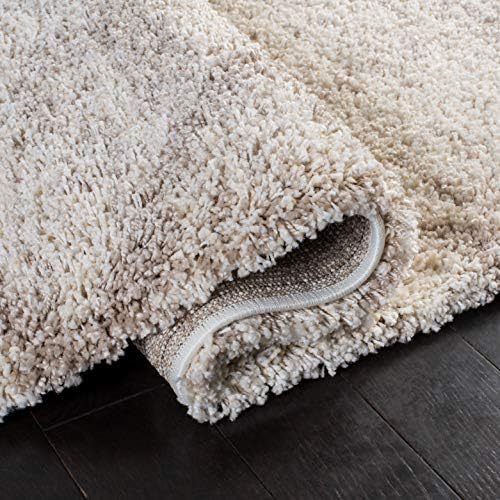 SAFAVIEH Hudson Shag Rug 10x14, Plush X-Large Multi Ivory & Beige SGH281H