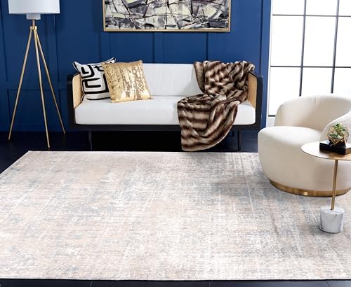 SAFAVIEH Adirondack Area Rug 6x9, Modern Beige & Slate ADR207B