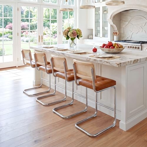 Zesthouse Natural Rattan Counter Stools Set of 2, 26" Modern Boho Barstools