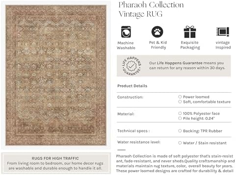 HUGEAR 6x9 Area Rugs Red Brown Washable Rug