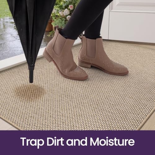 DEXI Thin Door Mat Indoor Entrance 24x36, Non Slip Entryway Mat, Beige