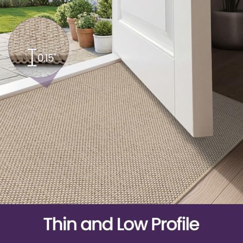 DEXI Thin Door Mat Indoor Entrance 24x36, Non Slip Entryway Mat, Beige