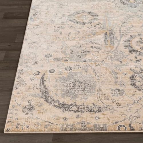 Hauteloom Obsidian Rustic Farmhouse Living Room Bedroom Dining Room Large Area Rug - Style - Traditional Floral Look - Bluish Medium Grey, Beige, Light Brown, Cream, Black - 8'10" x 12'