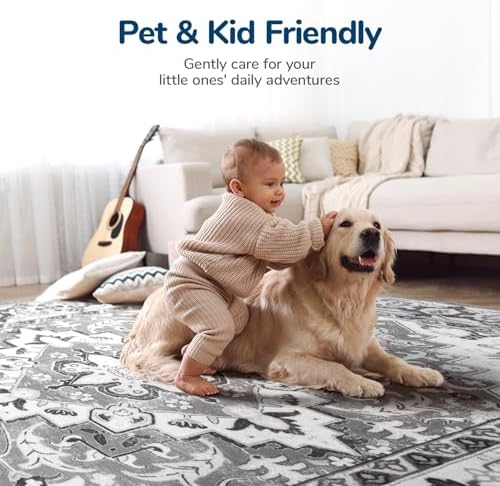 Lessymo 8 x 10 Area Rugs for Living Room, Machine Washable Rug Grey White