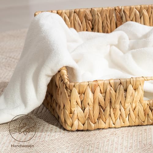 StorageWorks Pantry Baskets for Organizing, Hyacinth Storage Baskets,2-Pack