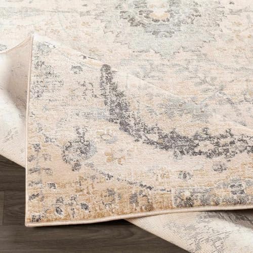 Hauteloom Obsidian Rustic Farmhouse Living Room Bedroom Dining Room Large Area Rug - Style - Traditional Floral Look - Bluish Medium Grey, Beige, Light Brown, Cream, Black - 8'10" x 12'