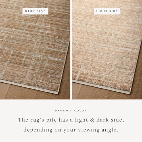 Loloi Wade Clay/Silver 7'-10" x 10' Area Rug
