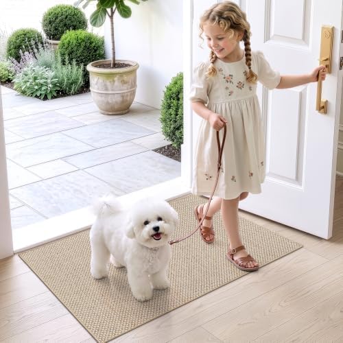 DEXI Thin Door Mat Indoor Entrance 24x36, Non Slip Entryway Mat, Beige
