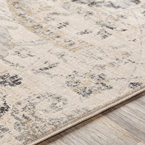 Hauteloom Obsidian Rustic Farmhouse Living Room Bedroom Dining Room Large Area Rug - Style - Traditional Floral Look - Bluish Medium Grey, Beige, Light Brown, Cream, Black - 8'10" x 12'