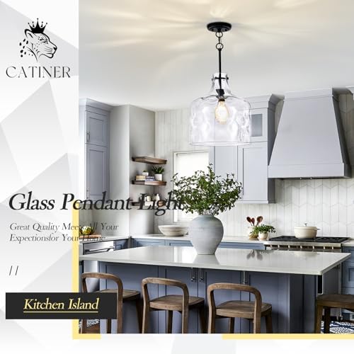 CATINER 16" Farmhouse Hammered Glass Pendant Light, Black Hanging Light