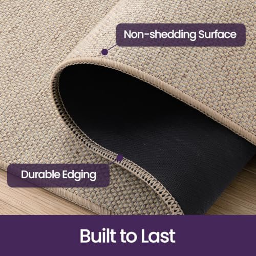 DEXI Thin Door Mat Indoor Entrance 24x36, Non Slip Entryway Mat, Beige