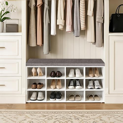 DINZI LVJ Shoe Storage Bench with Cushion, 40.9" Cubby Shoe Rack, 12-Cubby