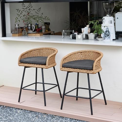Modern 25" Rattan Counter Height Bar Stools Set of 2,Charcoal Stool Seat