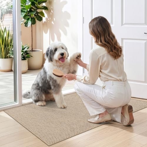 DEXI Thin Door Mat Indoor Entrance 32x48, Non Slip Entryway Mat, Beige