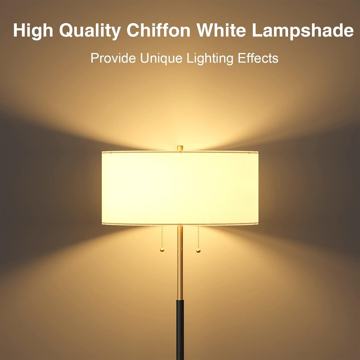 2-Light 3 Color Temperature Mid Century Floor Lamp for Living Room