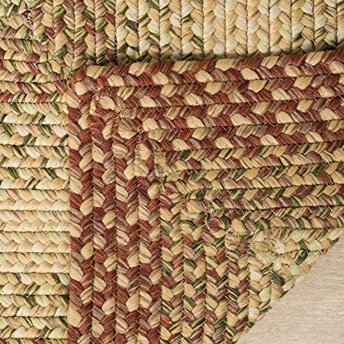 SAFAVIEH Braided Indoor/Outdoor Area Rug 10x14, X-Large Rust BRD303A