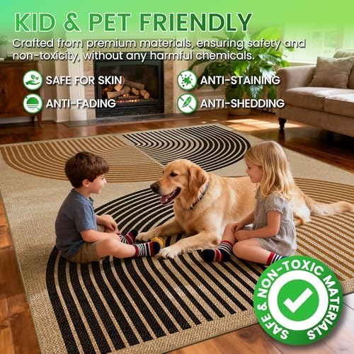 Washable 5x7 Modern Rainbow Easy Jute Indoor Outdoor Rug for Living Room