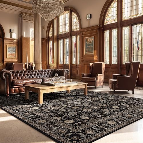 Ruaruarug Washable Area Rug 8×10 for Living Room, Ultra Soft, Black Gold