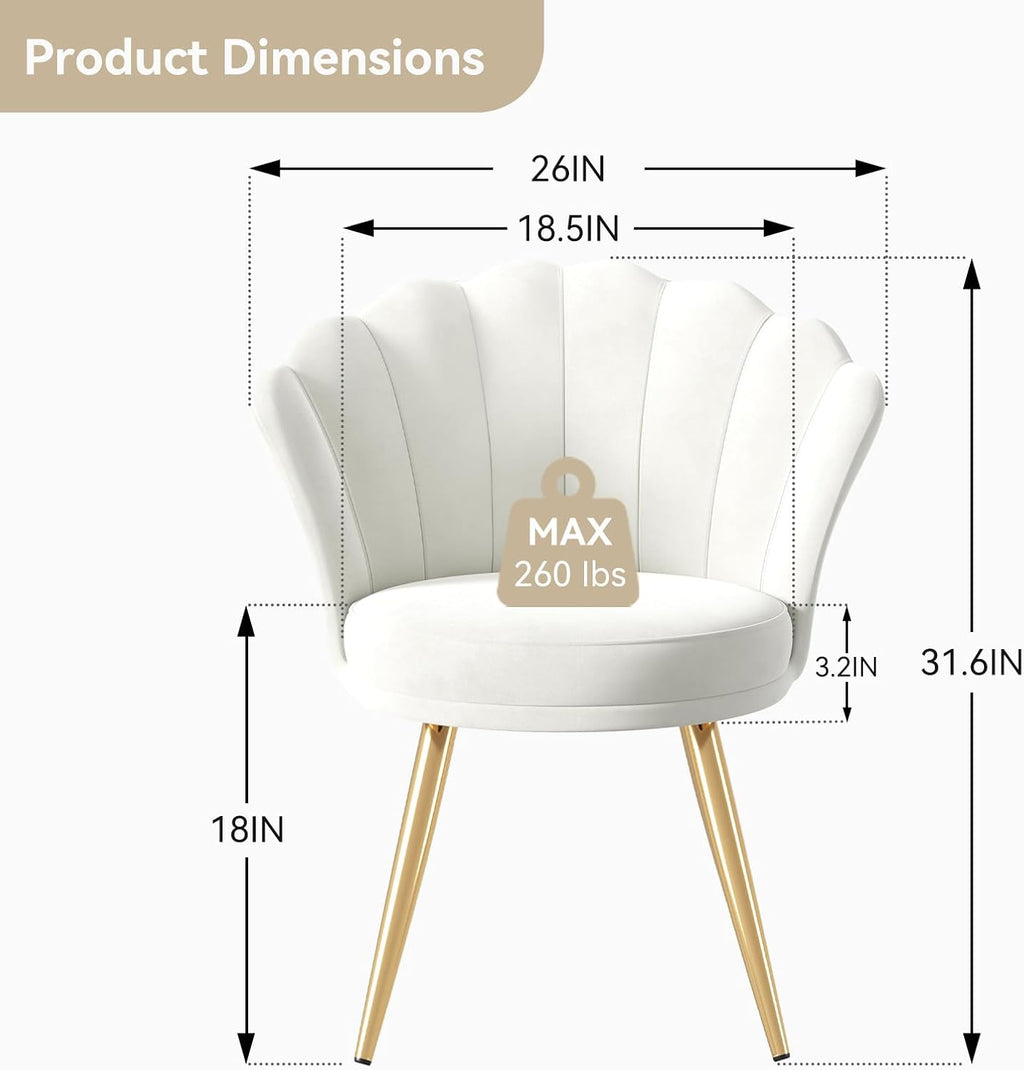 Velvet Accent Chair with Gold Metal Legs, Vanity Chair for Makeup Room, Upholstered Guest Chair for Living Room, for Bedroom, White