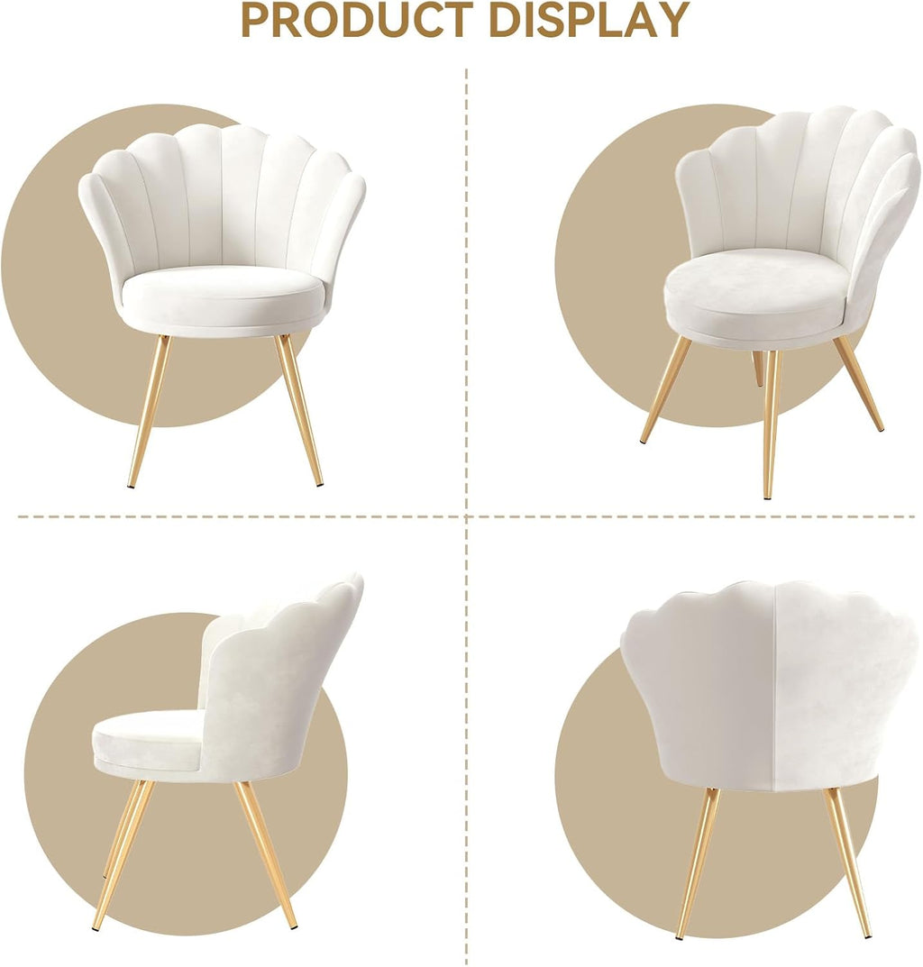 Velvet Accent Chair with Gold Metal Legs, Vanity Chair for Makeup Room, Upholstered Guest Chair for Living Room, for Bedroom, White