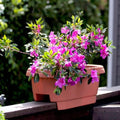 Fiskars 477241-1001 24" Terra Cotta Deck / Patio Rail Planters - Quantity 9