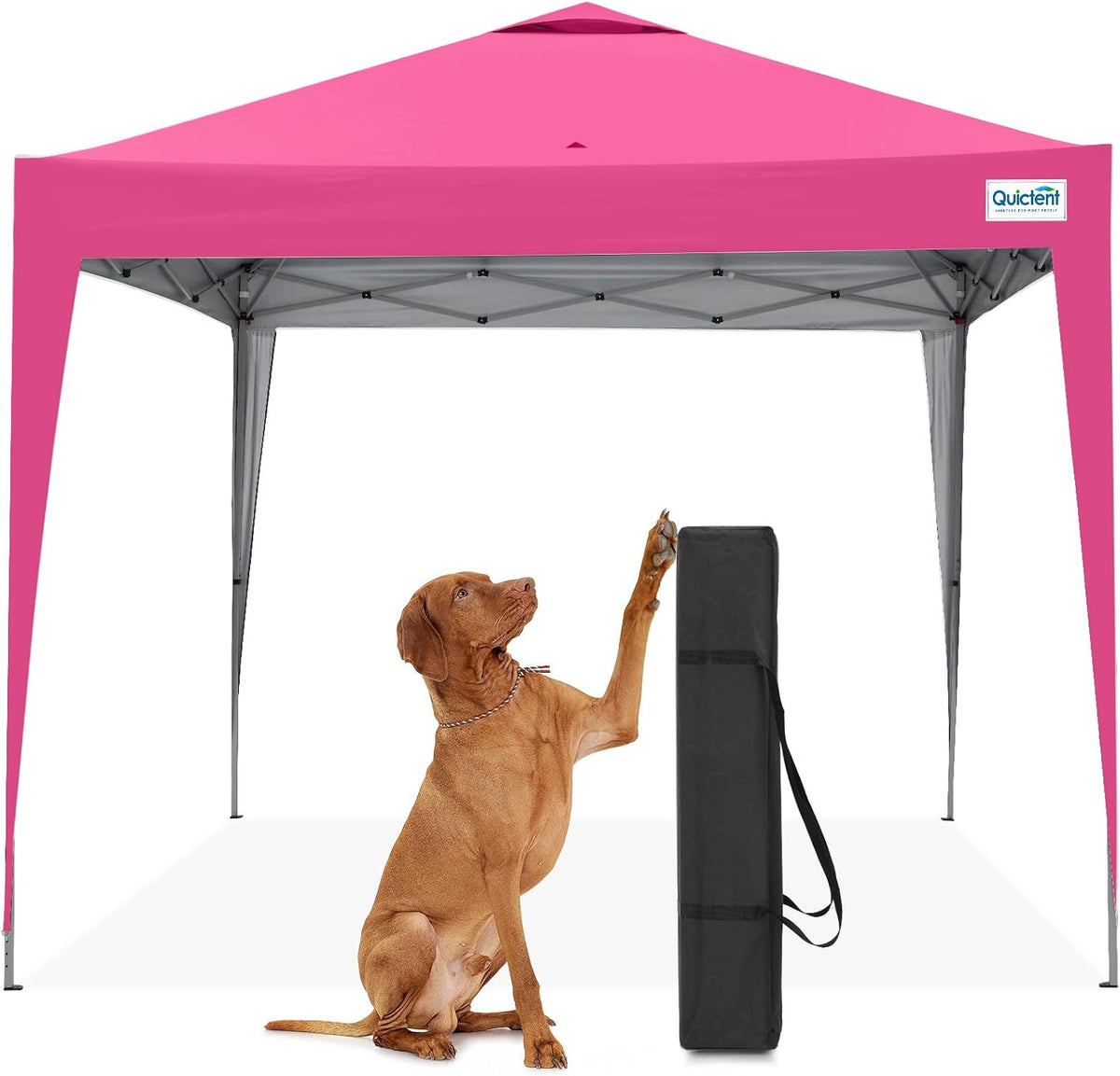 Quictent 10x10 Pop Up Canopy Tent Without Sidewal