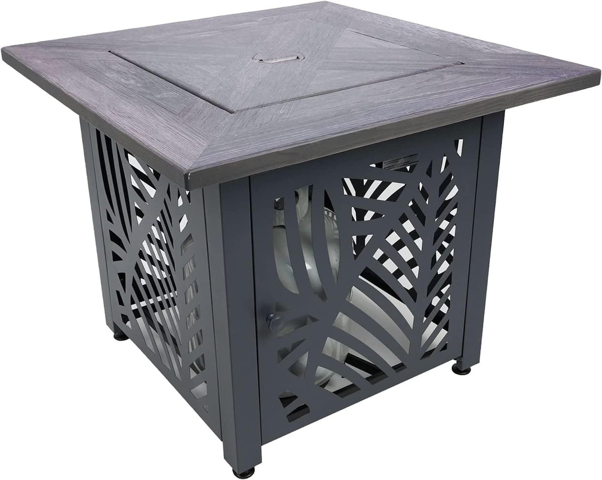 Endless Summer Lindsey 30 in LP Gas Fire Pit Table, Steel Base, GAD15318ES