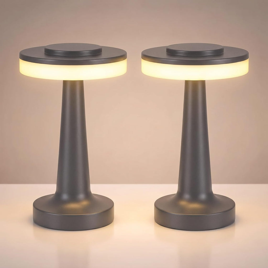 Riakrum 2 Pcs LED Cordless Table Lamp Bulk Rechargeable,Gray